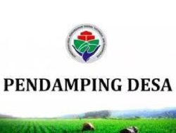 Tidak Terakomodir di Perpanjangan Kontrak 2025, Puluhan Pendamping Desa di Bone Meradang