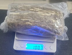 Pria di Bone Ditangkap, Polisi Temukan Bukti Ganja