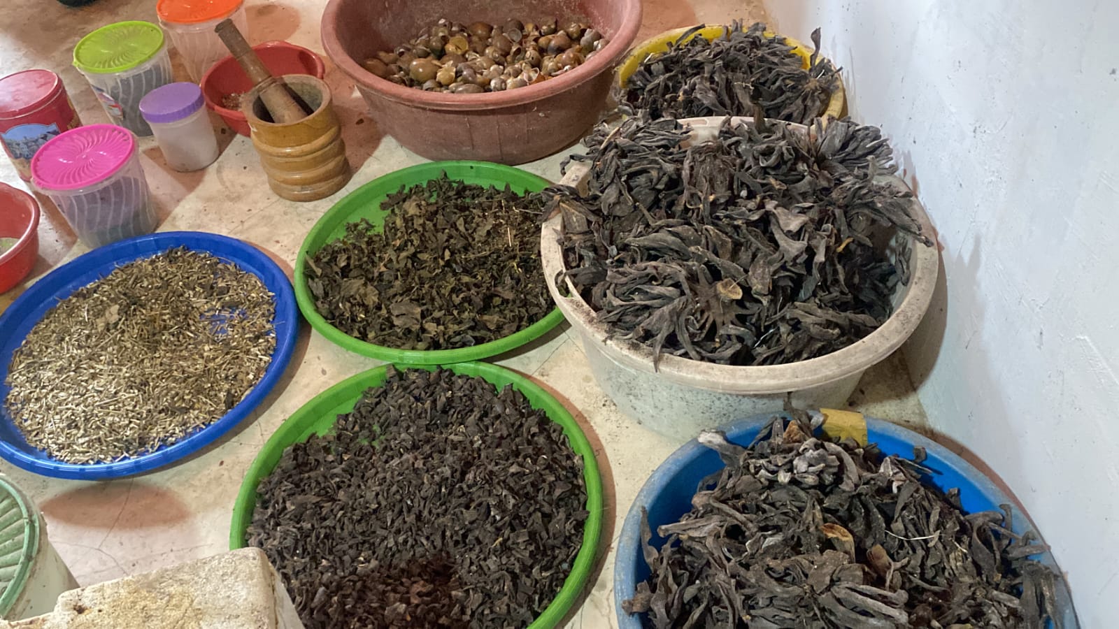 Produk Pupuk Organik