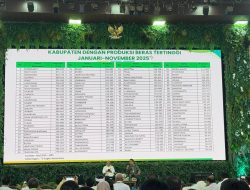 Bone Catat Prestasi, Masuk 5 Besar Daerah Penghasil Beras Terbesar di Indonesia