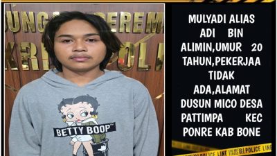 Polres Bone Amankan Mulyadi, Salah Satu Pelaku Persetubuhan Siswi SMK